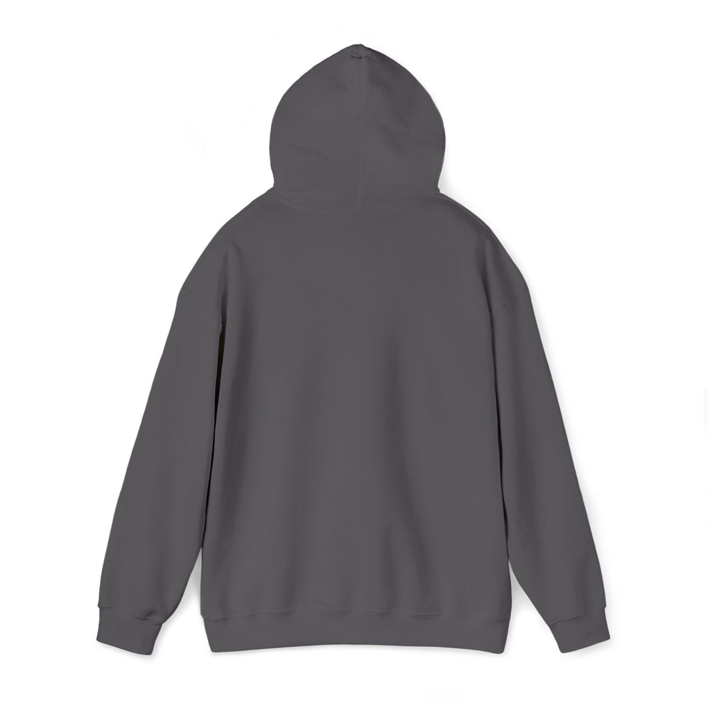 Lion Crest Hoodie – "BRIGHTERFUTURE" Graphic Pullover