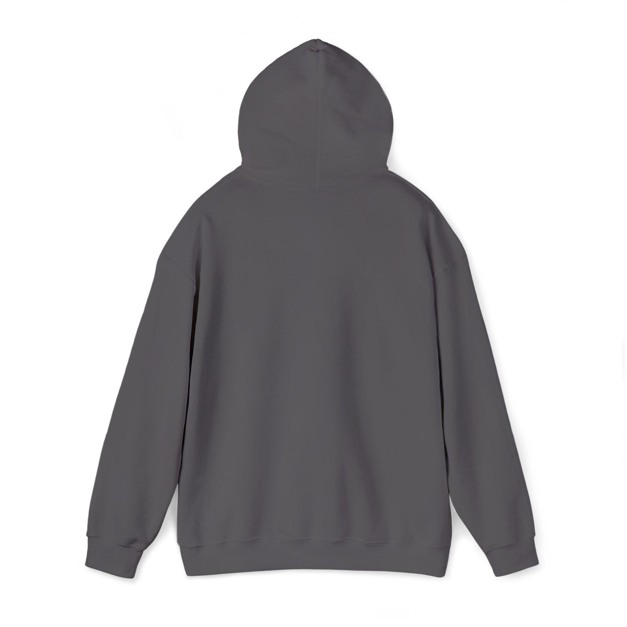 Lion Crest Hoodie – "BRIGHTERFUTURE" Graphic Pullover