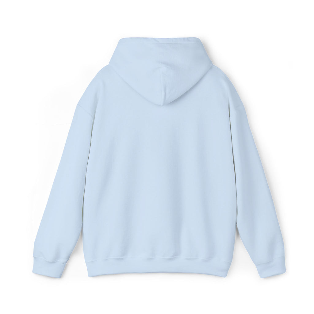 Lion Crest Hoodie – "BRIGHTERFUTURE" Graphic Pullover