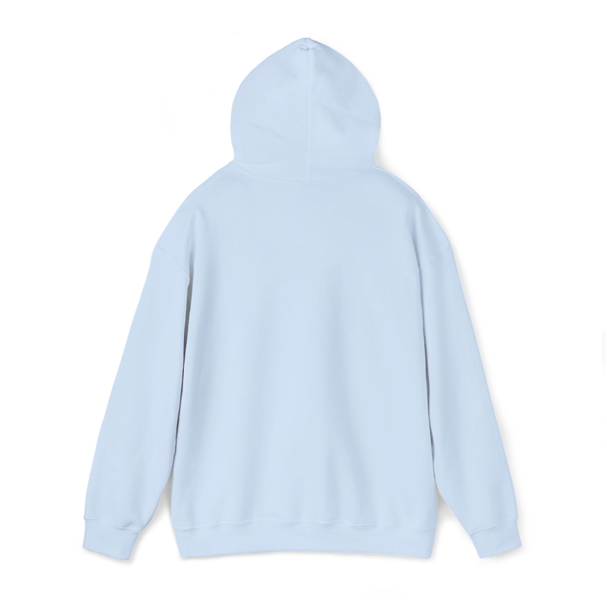Lion Crest Hoodie – "BRIGHTERFUTURE" Graphic Pullover