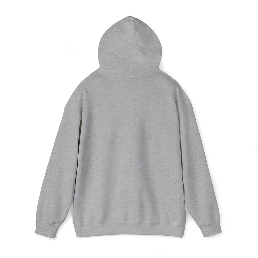 Lion Crest Hoodie – "BRIGHTERFUTURE" Graphic Pullover