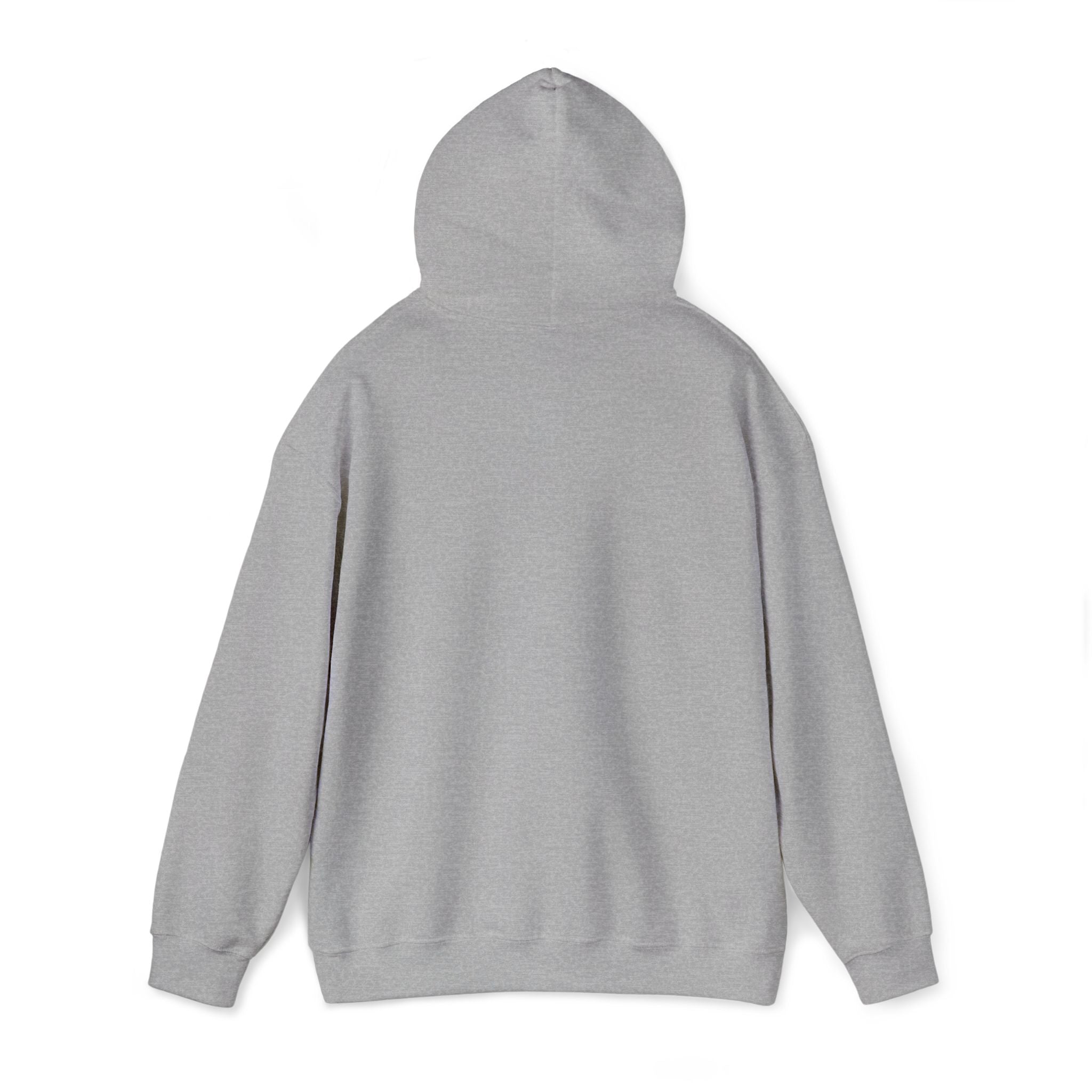 Lion Crest Hoodie – "BRIGHTERFUTURE" Graphic Pullover