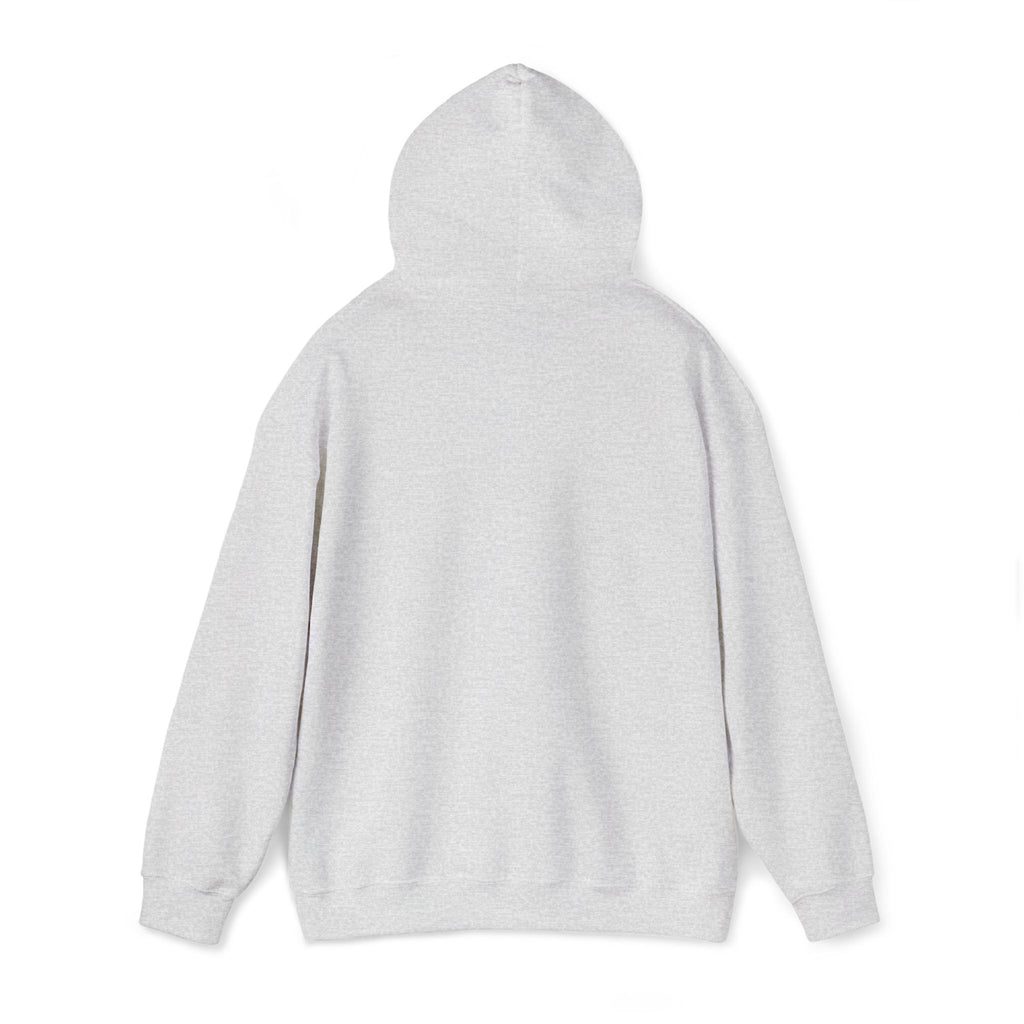 Lion Crest Hoodie – "BRIGHTERFUTURE" Graphic Pullover