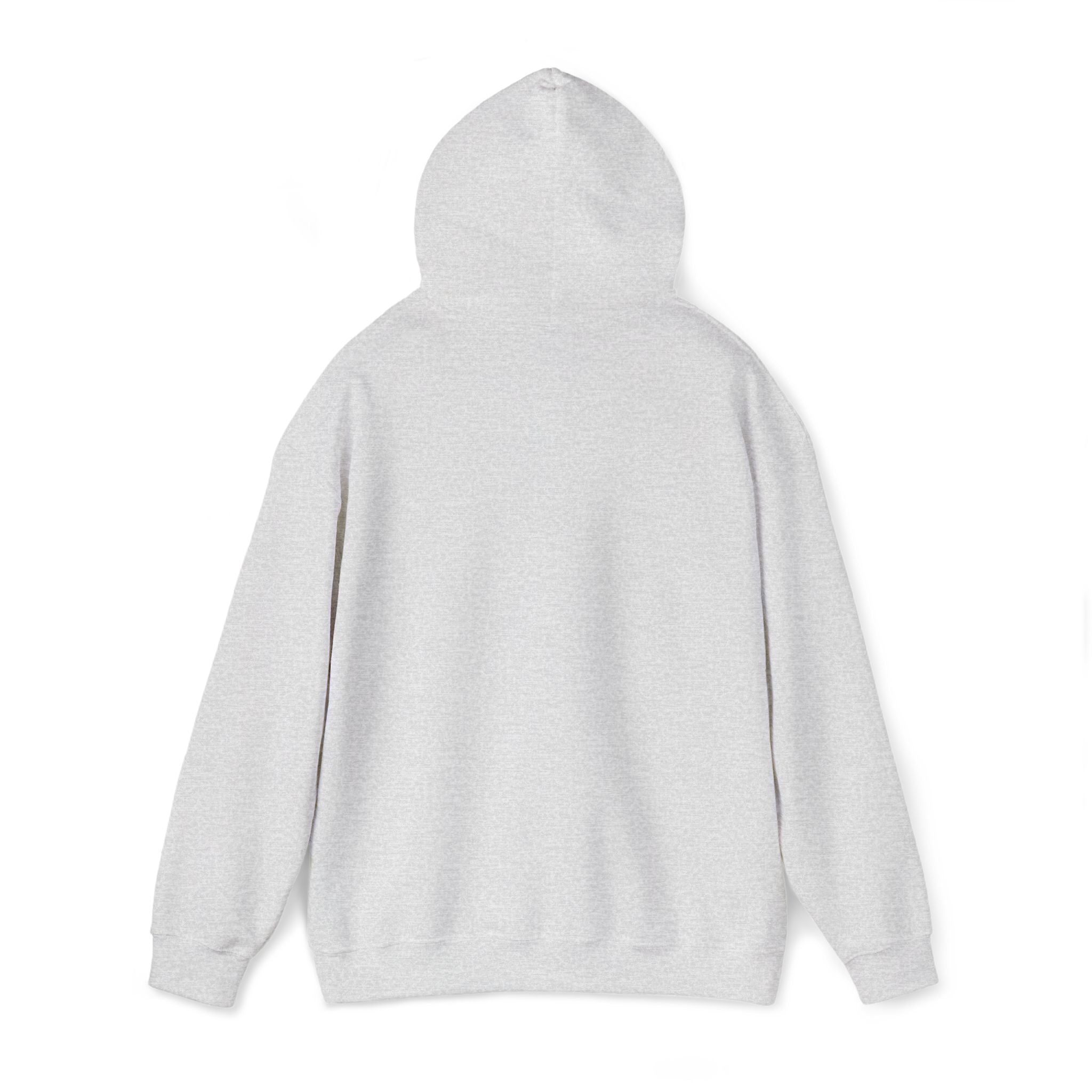 Lion Crest Hoodie – "BRIGHTERFUTURE" Graphic Pullover