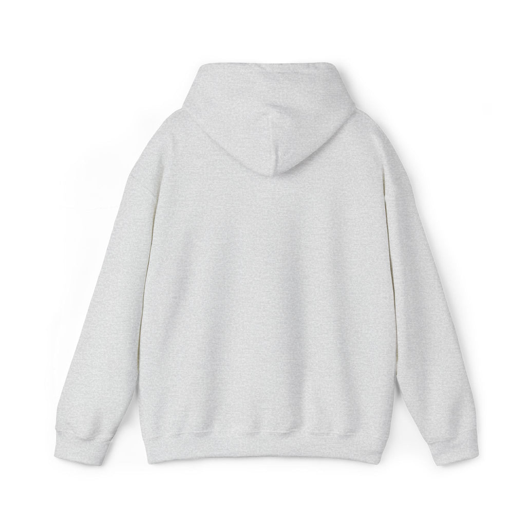 Lion Crest Hoodie – "BRIGHTERFUTURE" Graphic Pullover