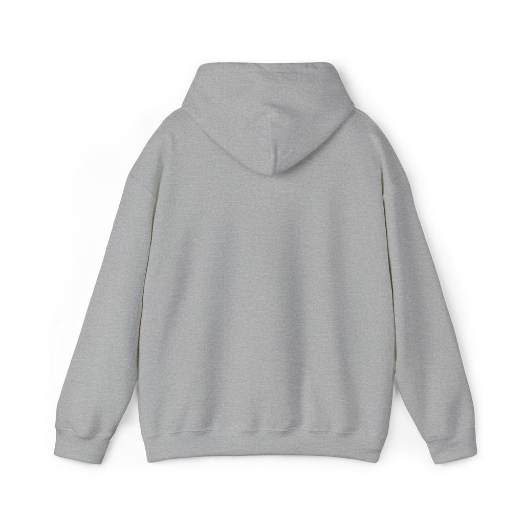 Lion Crest Hoodie – "BRIGHTERFUTURE" Graphic Pullover