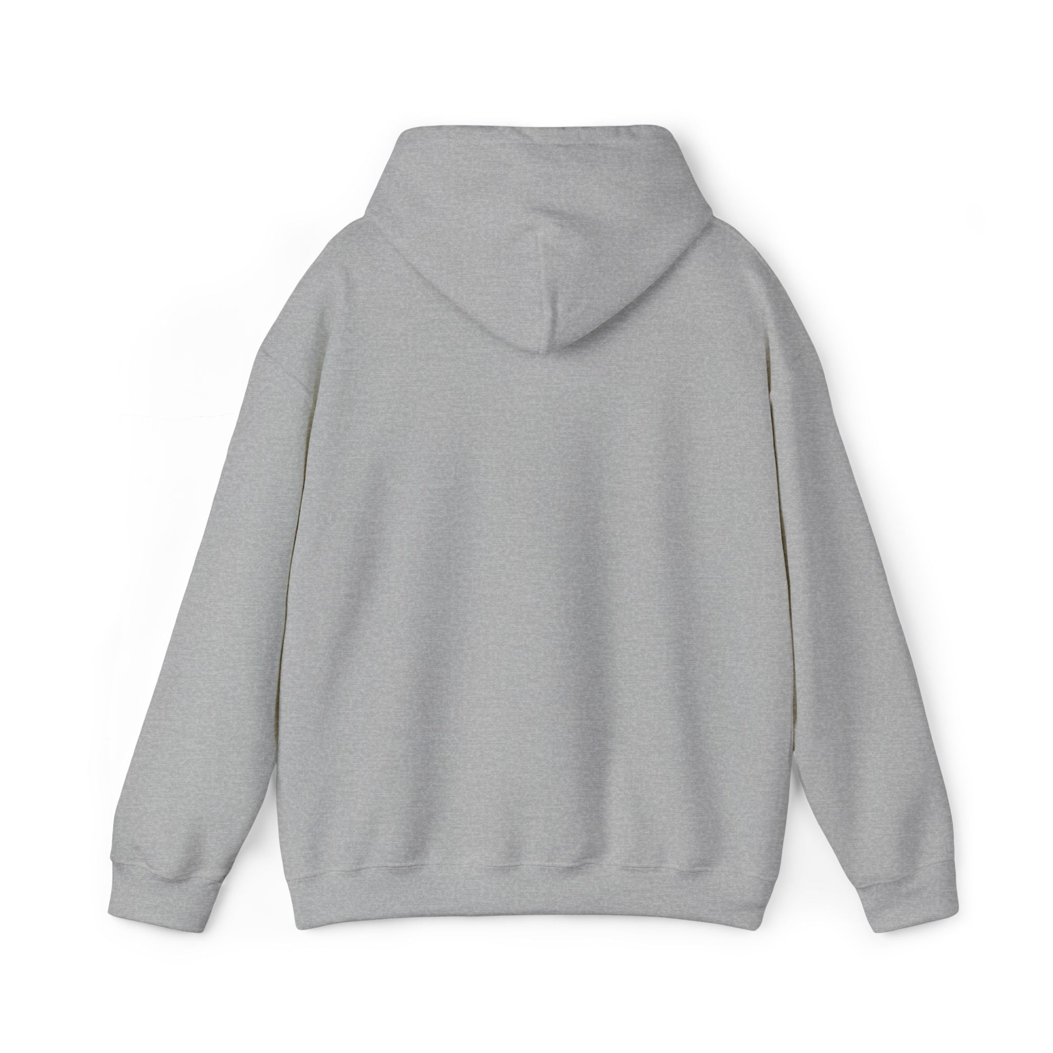Lion Crest Hoodie – "BRIGHTERFUTURE" Graphic Pullover