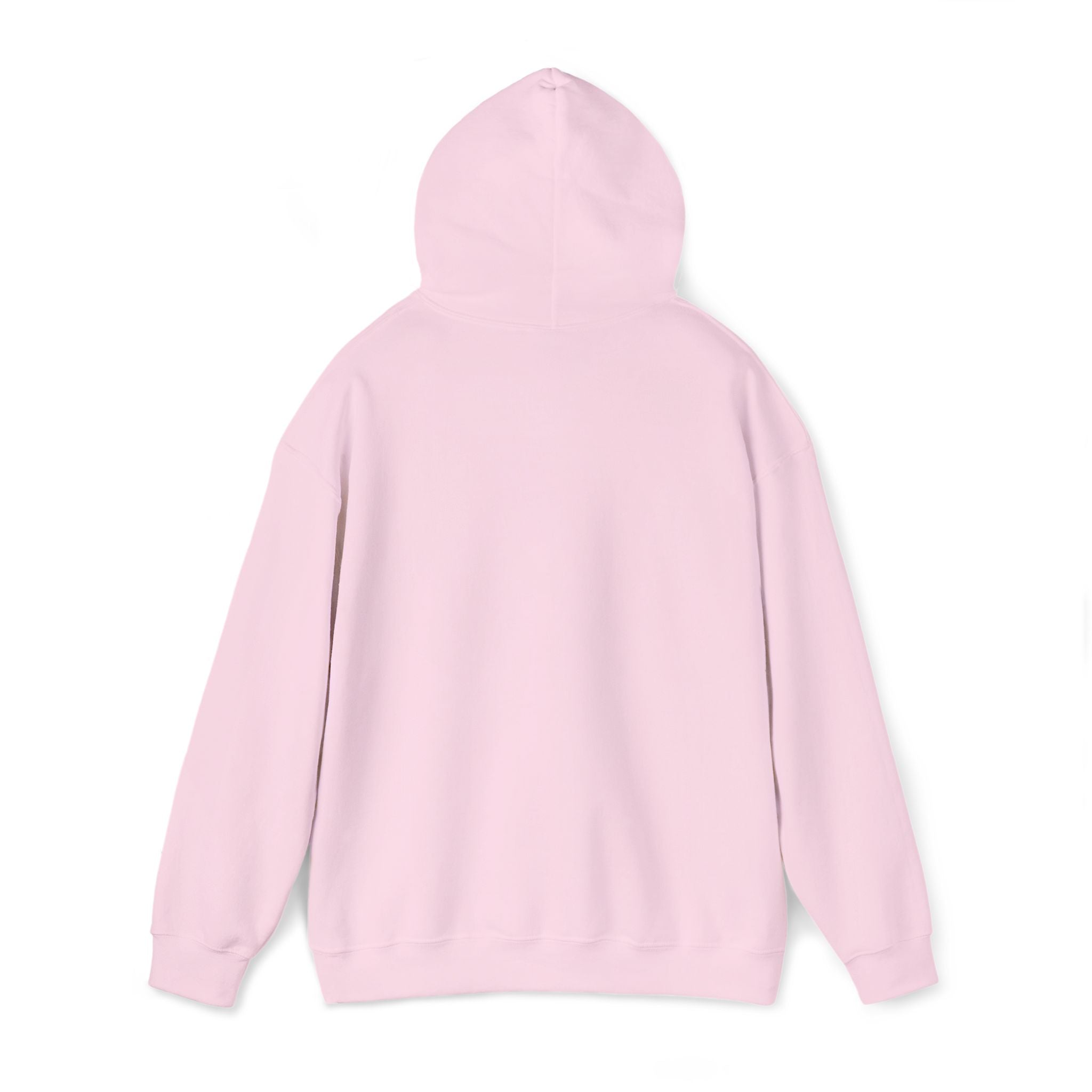 Lion Crest Hoodie – "BRIGHTERFUTURE" Graphic Pullover