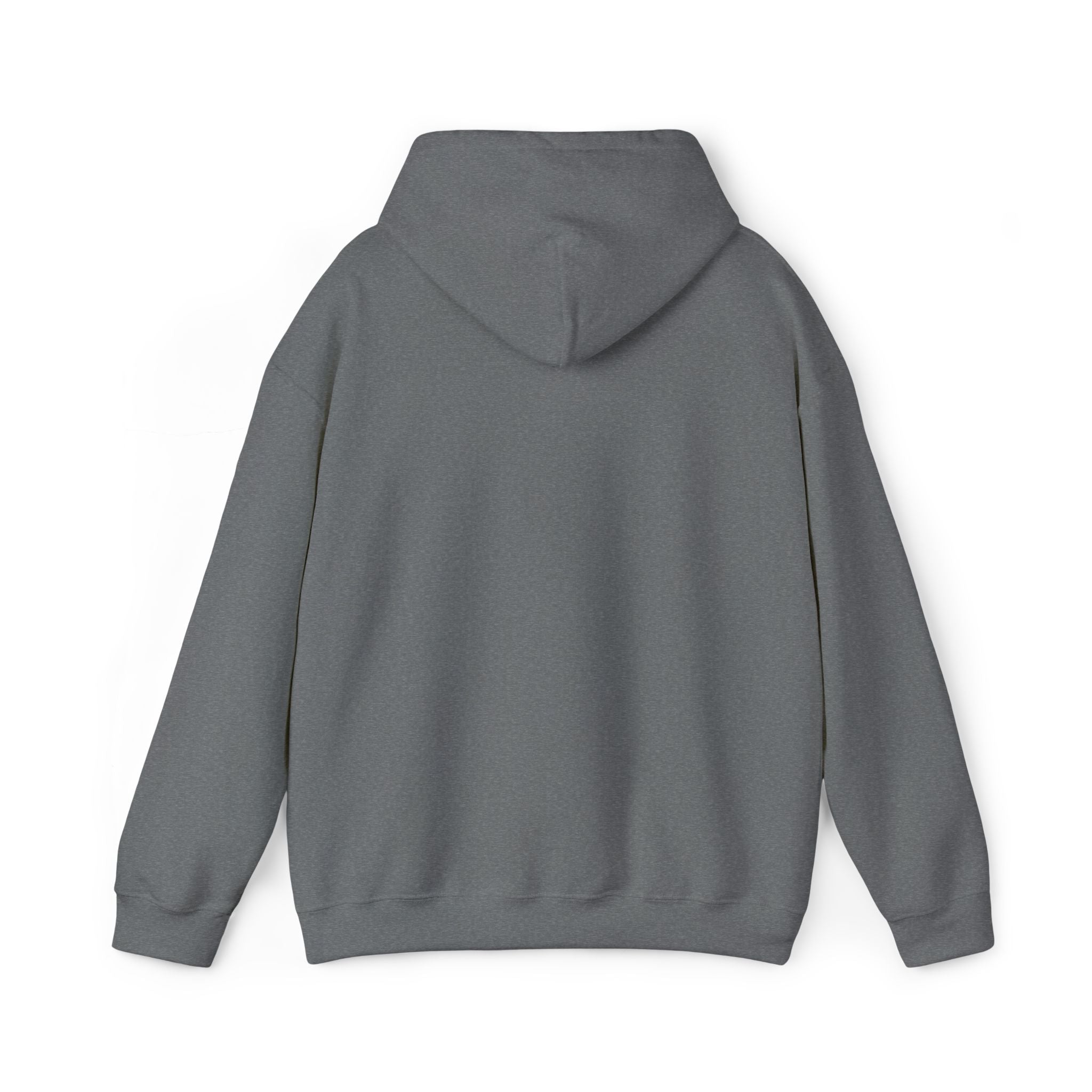 Lion Crest Hoodie – "BRIGHTERFUTURE" Graphic Pullover
