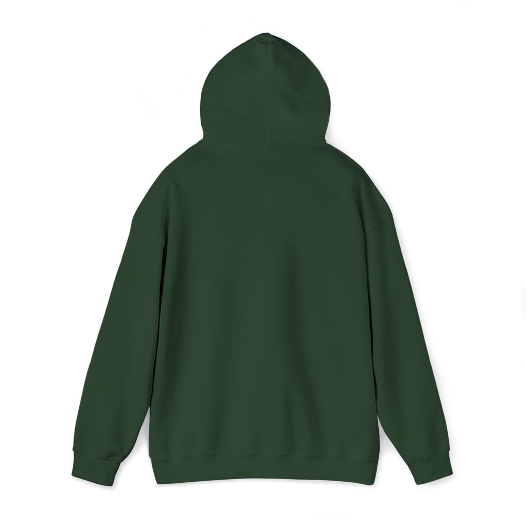 Lion Crest Hoodie – "BRIGHTERFUTURE" Graphic Pullover