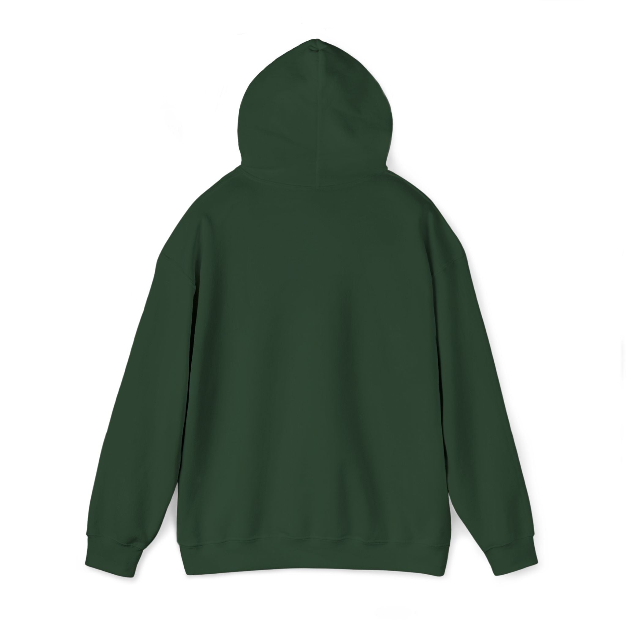 Lion Crest Hoodie – "BRIGHTERFUTURE" Graphic Pullover