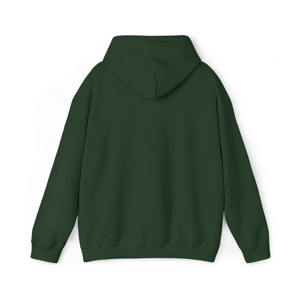Lion Crest Hoodie – "BRIGHTERFUTURE" Graphic Pullover