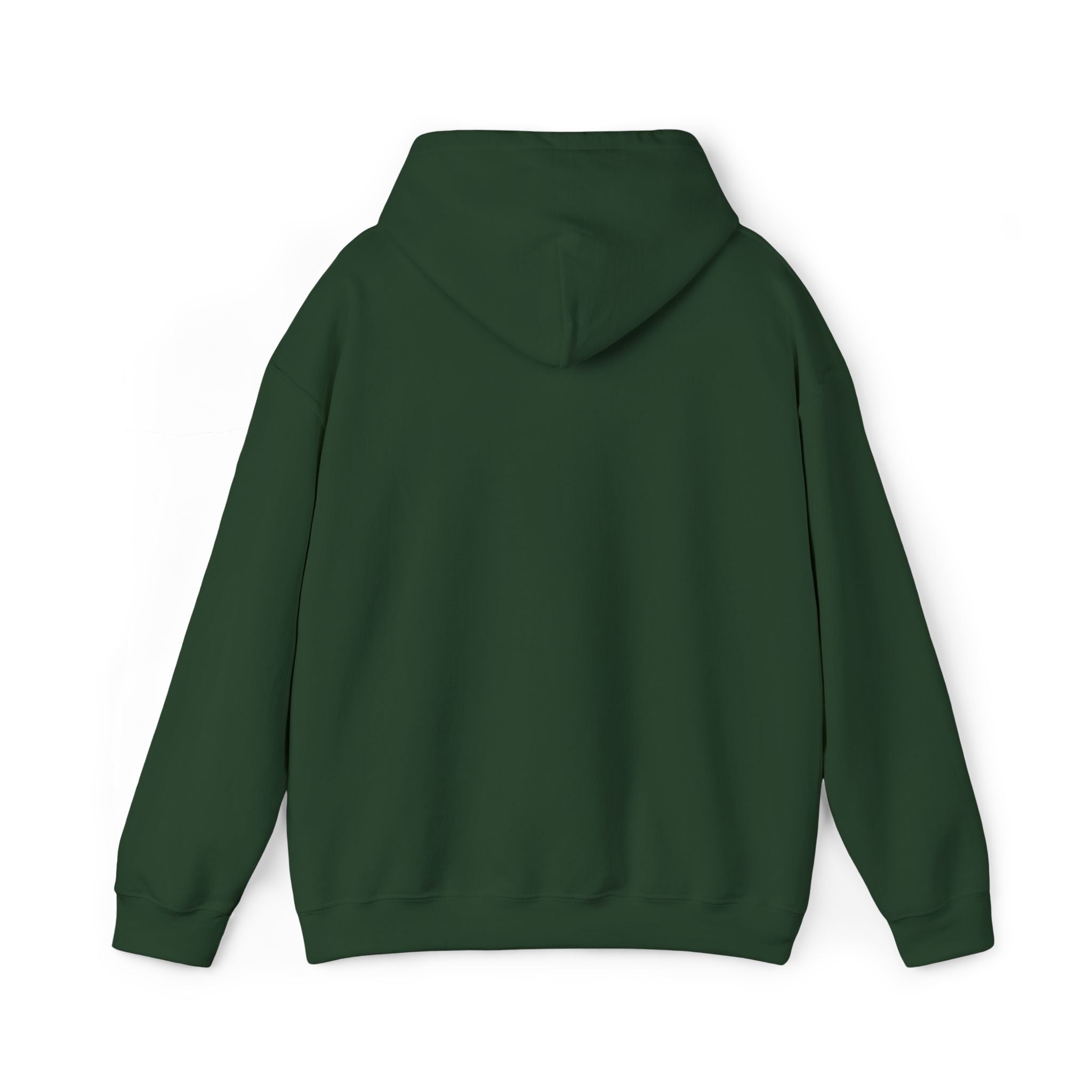 Lion Crest Hoodie – "BRIGHTERFUTURE" Graphic Pullover