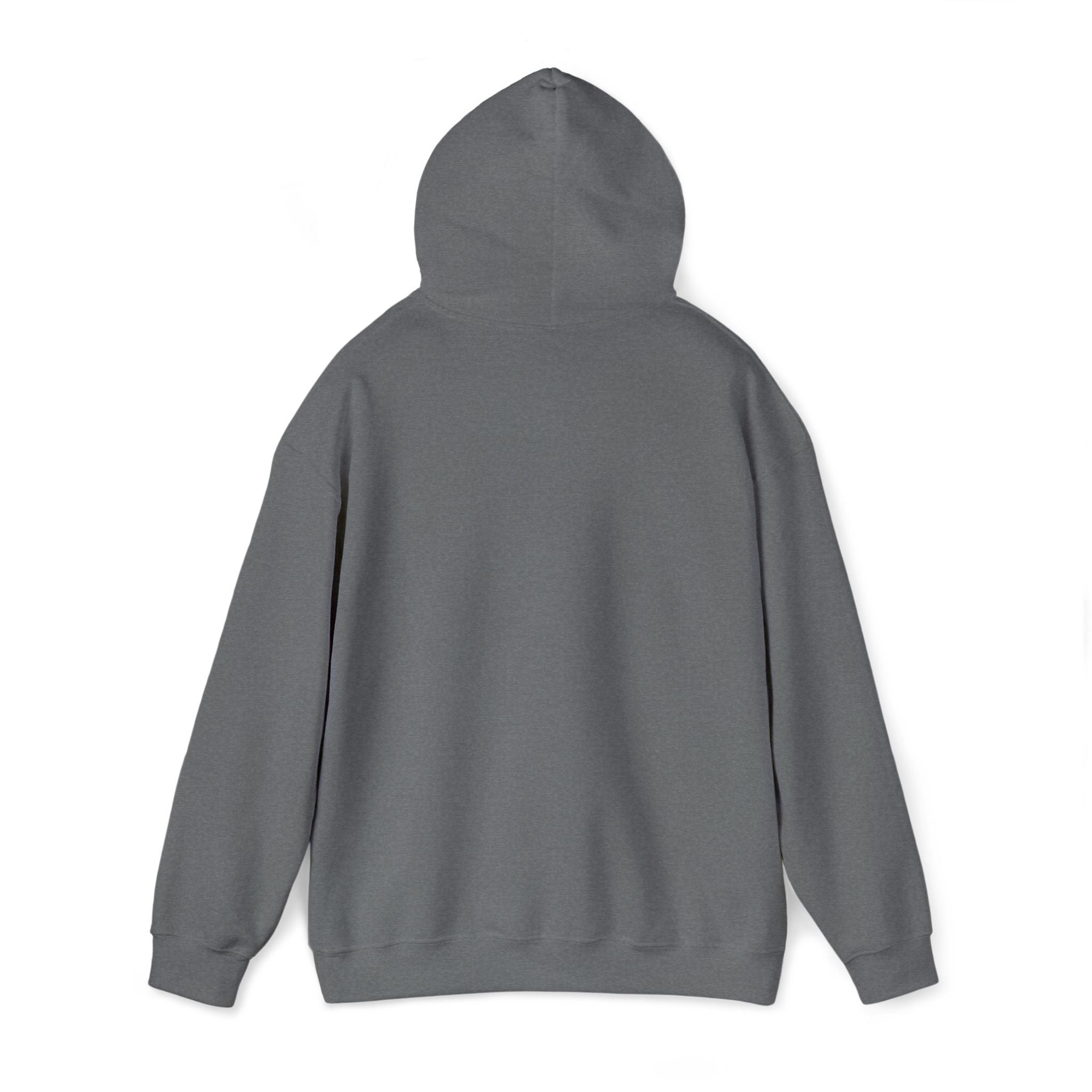 Lion Crest Hoodie – "BRIGHTERFUTURE" Graphic Pullover
