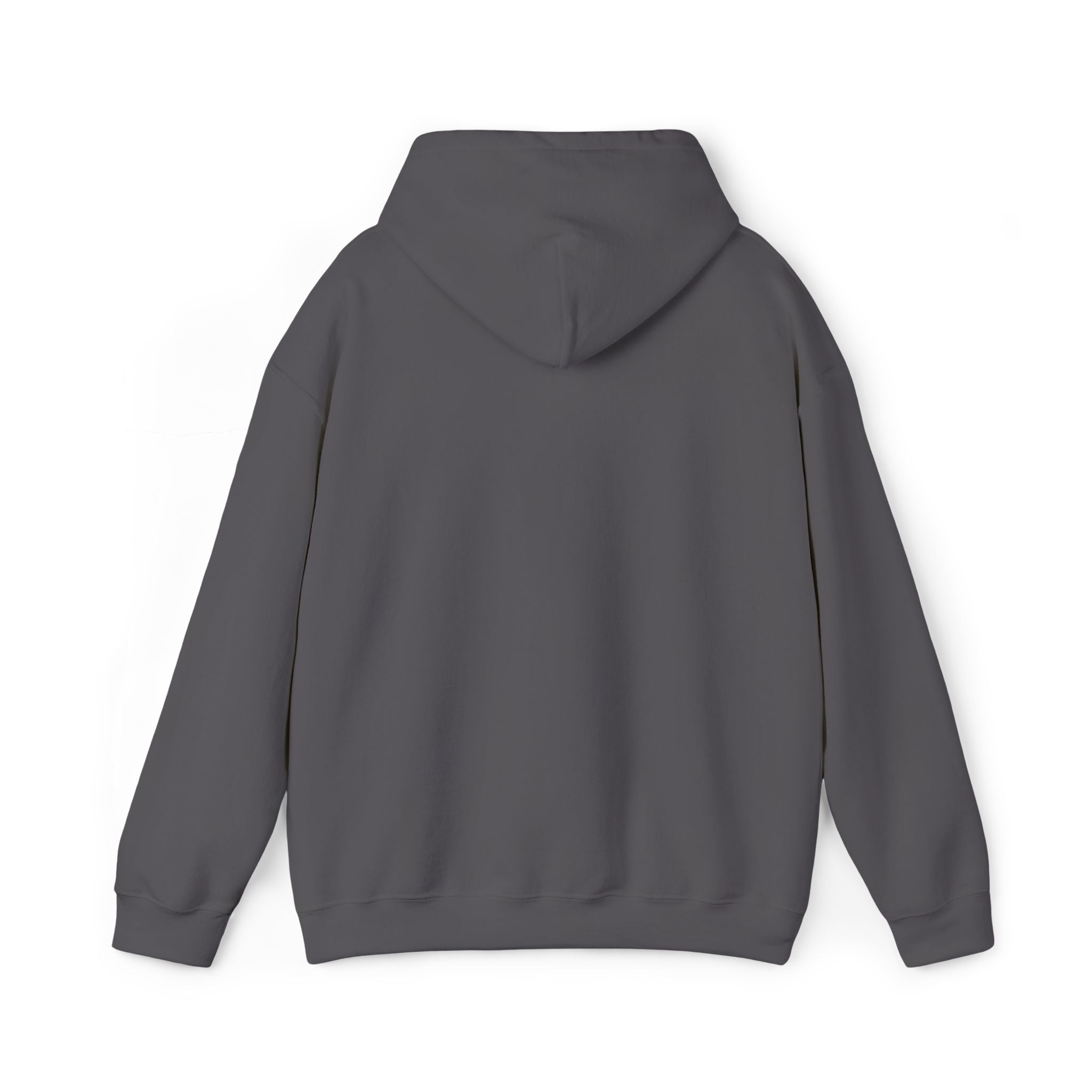 Lion Crest Hoodie – "BRIGHTERFUTURE" Graphic Pullover