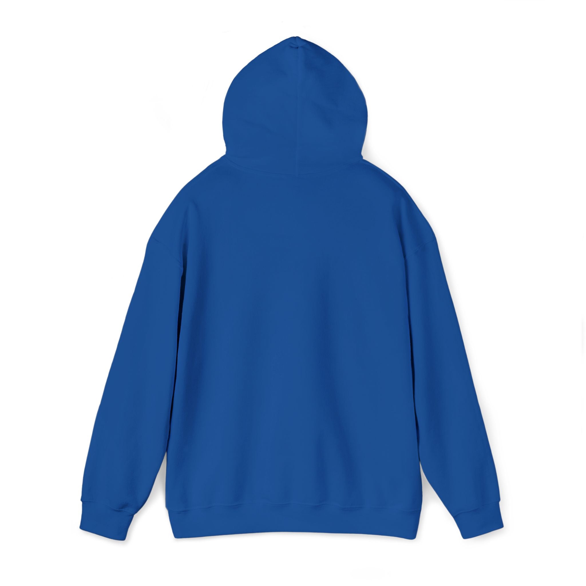 Lion Crest Hoodie – "BRIGHTERFUTURE" Graphic Pullover
