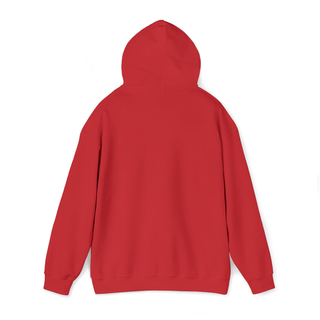 Lion Crest Hoodie – "BRIGHTERFUTURE" Graphic Pullover