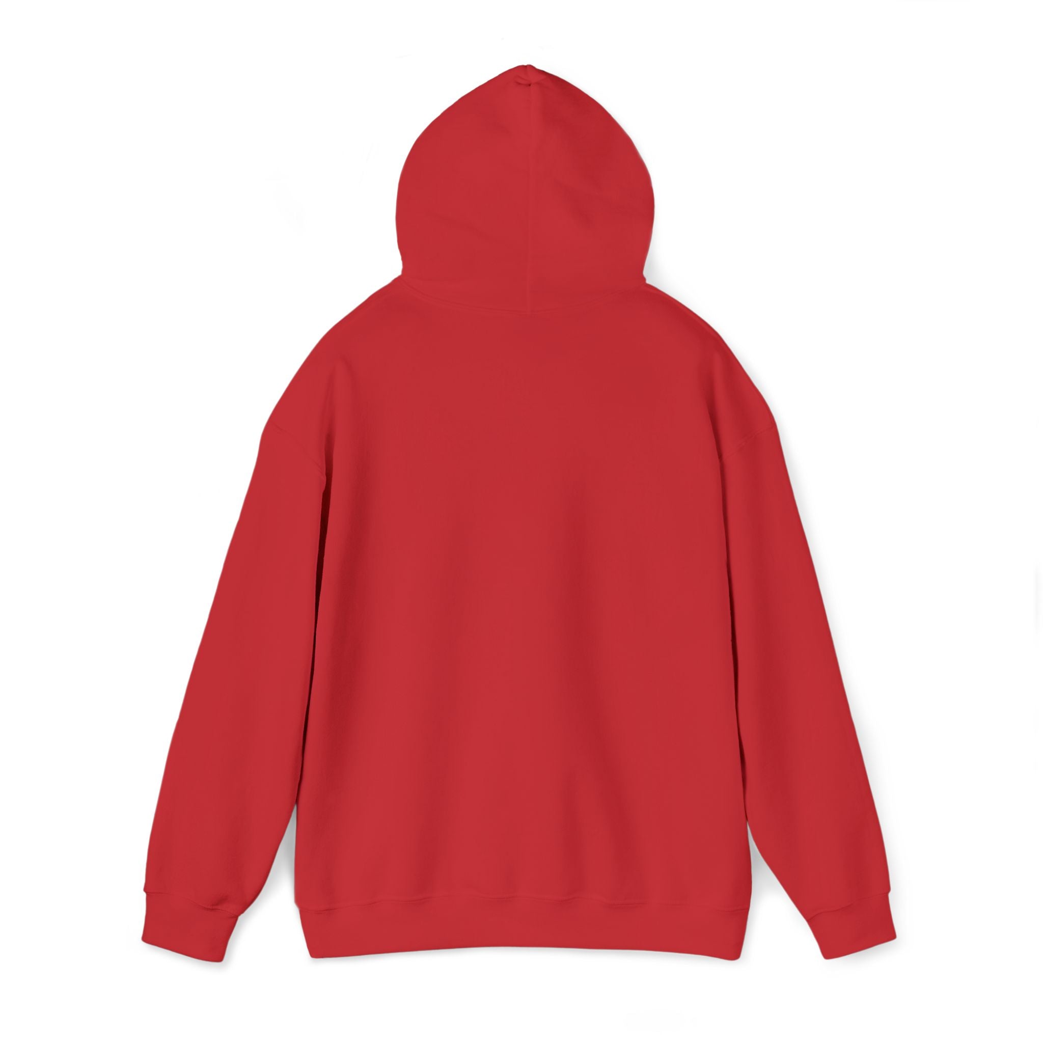 Lion Crest Hoodie – "BRIGHTERFUTURE" Graphic Pullover