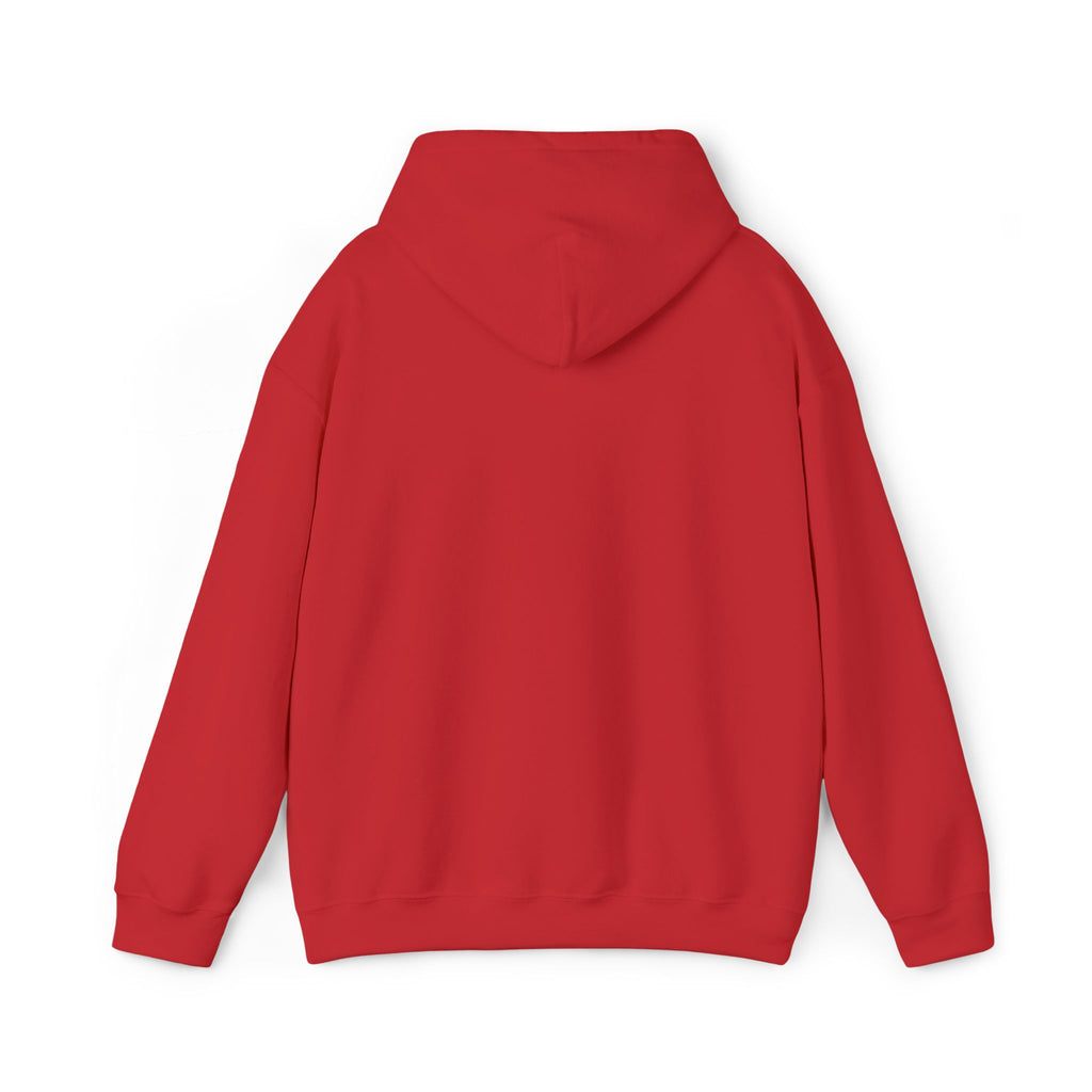 Lion Crest Hoodie – "BRIGHTERFUTURE" Graphic Pullover